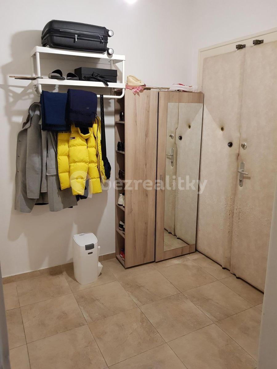 1 bedroom with open-plan kitchen flat to rent, 44 m², Jana Želivského, Prague, Prague