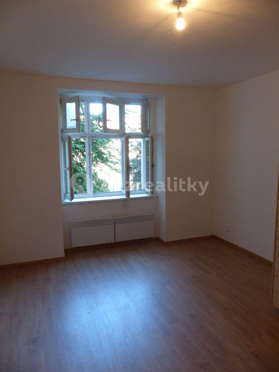 1 bedroom with open-plan kitchen flat to rent, 44 m², Jana Želivského, Prague, Prague