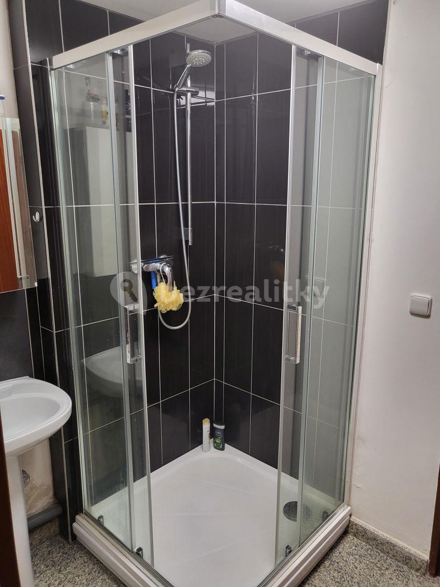 1 bedroom flat to rent, 45 m², Říčany, Středočeský Region