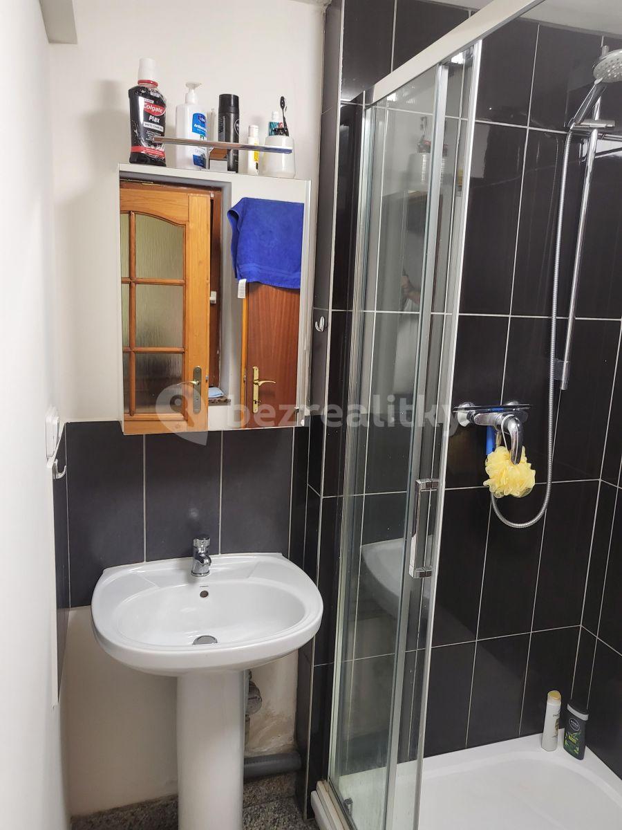 1 bedroom flat to rent, 45 m², Říčany, Středočeský Region