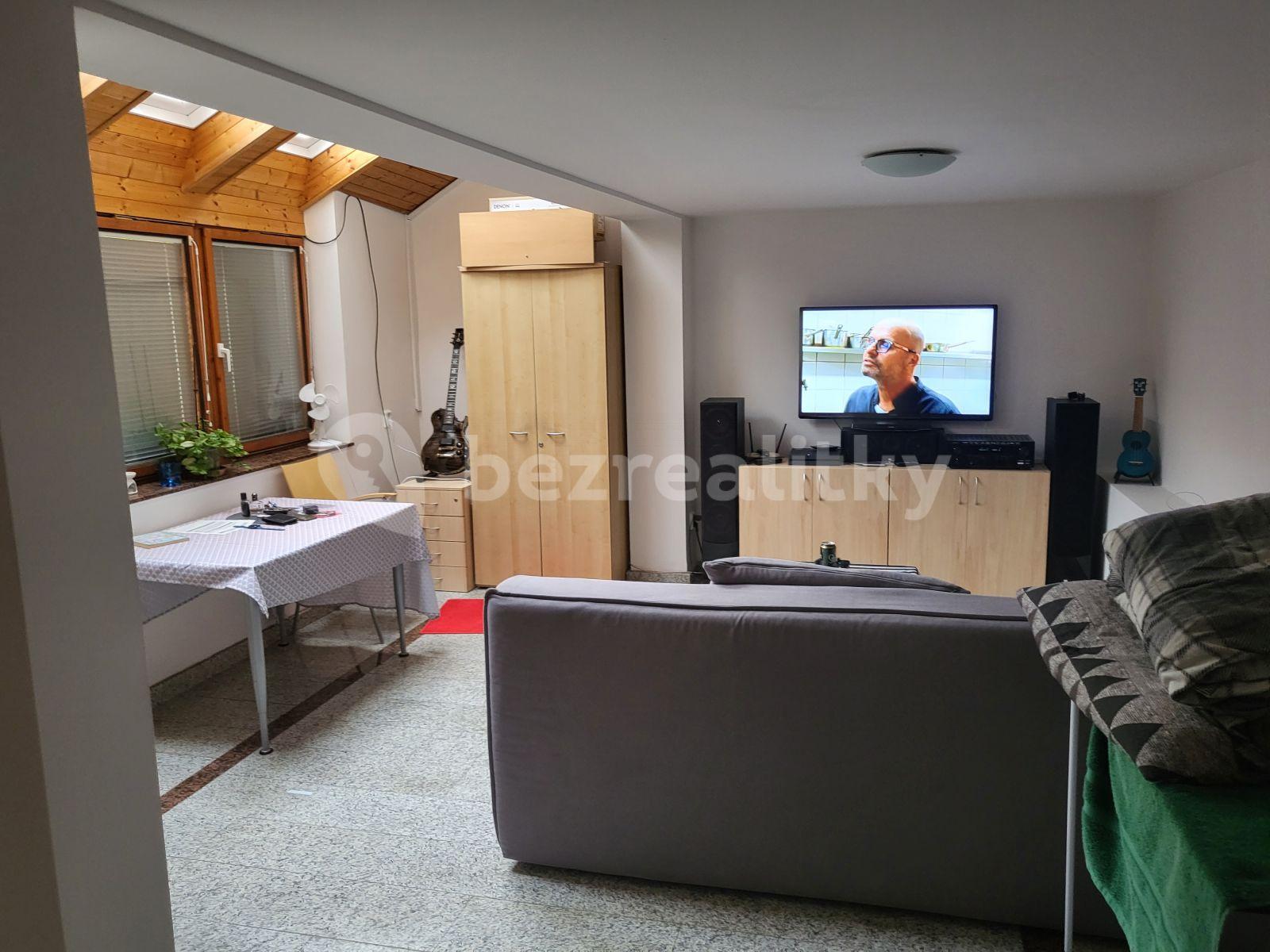 1 bedroom flat to rent, 45 m², Říčany, Středočeský Region