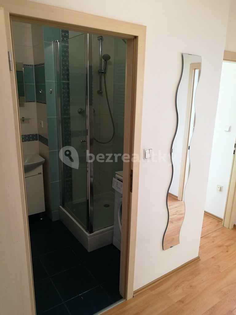 2 bedroom with open-plan kitchen flat to rent, 72 m², Cyprichova, Prague, Prague