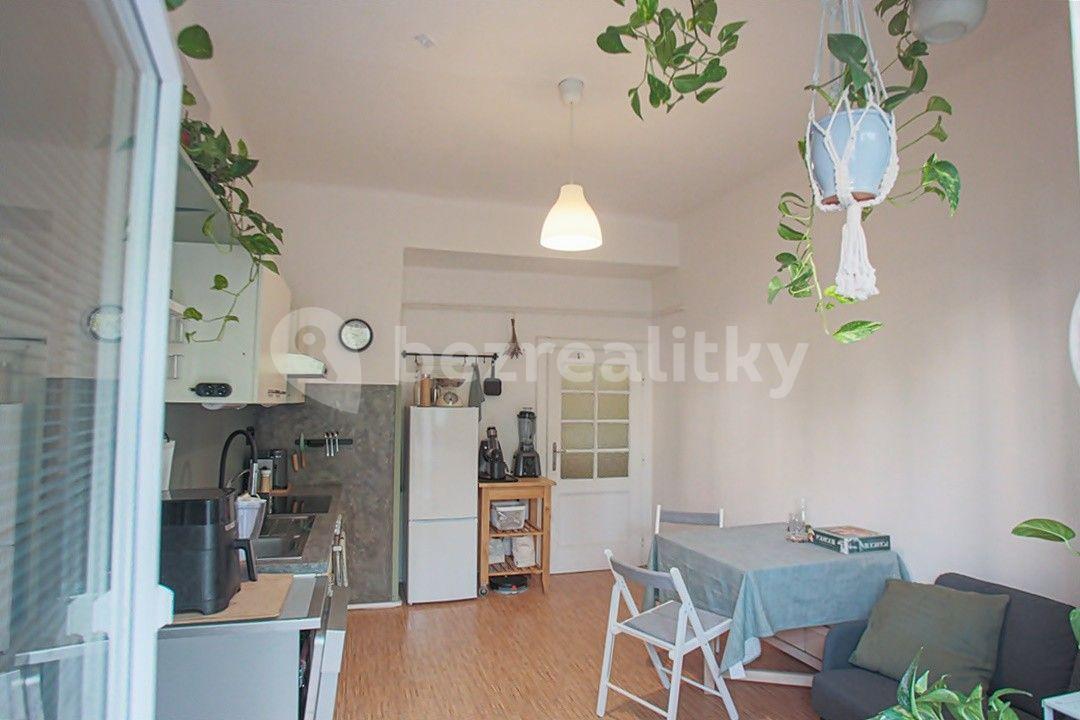 1 bedroom with open-plan kitchen flat to rent, 50 m², Palackého třída, Brno, Jihomoravský Region