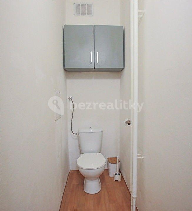 1 bedroom with open-plan kitchen flat to rent, 50 m², Palackého třída, Brno, Jihomoravský Region