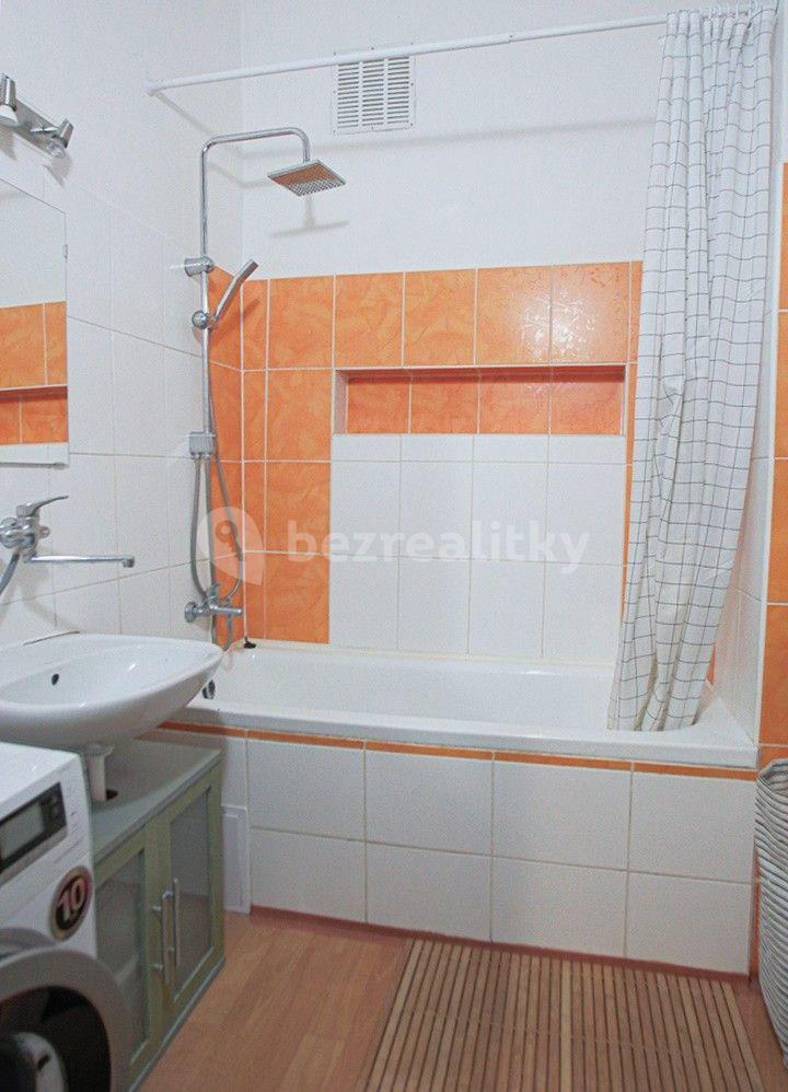 1 bedroom with open-plan kitchen flat to rent, 50 m², Palackého třída, Brno, Jihomoravský Region