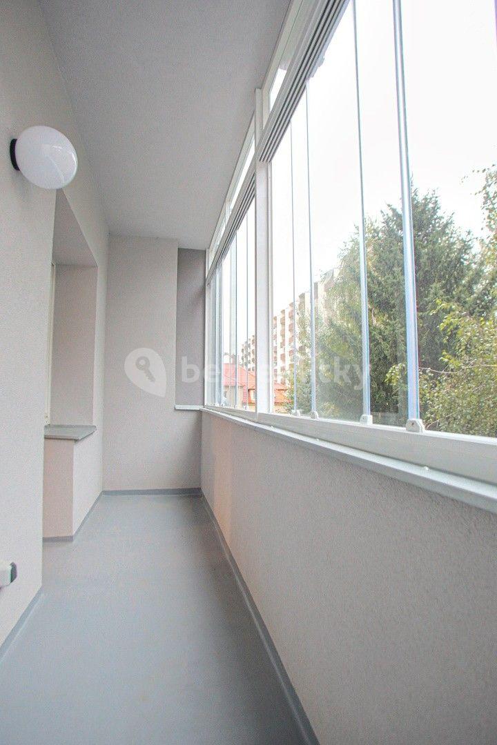 1 bedroom with open-plan kitchen flat to rent, 50 m², Palackého třída, Brno, Jihomoravský Region