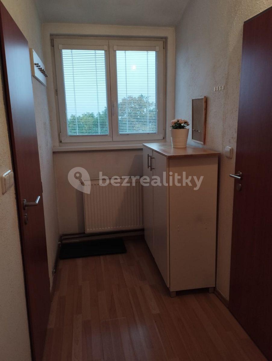 1 bedroom with open-plan kitchen flat to rent, 36 m², Na Okraji, Prague, Prague