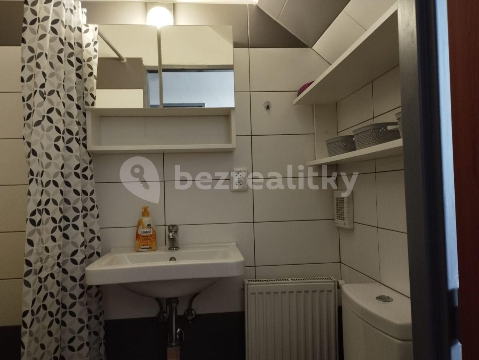 1 bedroom with open-plan kitchen flat to rent, 36 m², Na Okraji, Prague, Prague