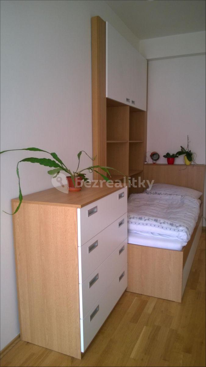 2 bedroom with open-plan kitchen flat to rent, 68 m², Prachnerova, Prague, Prague