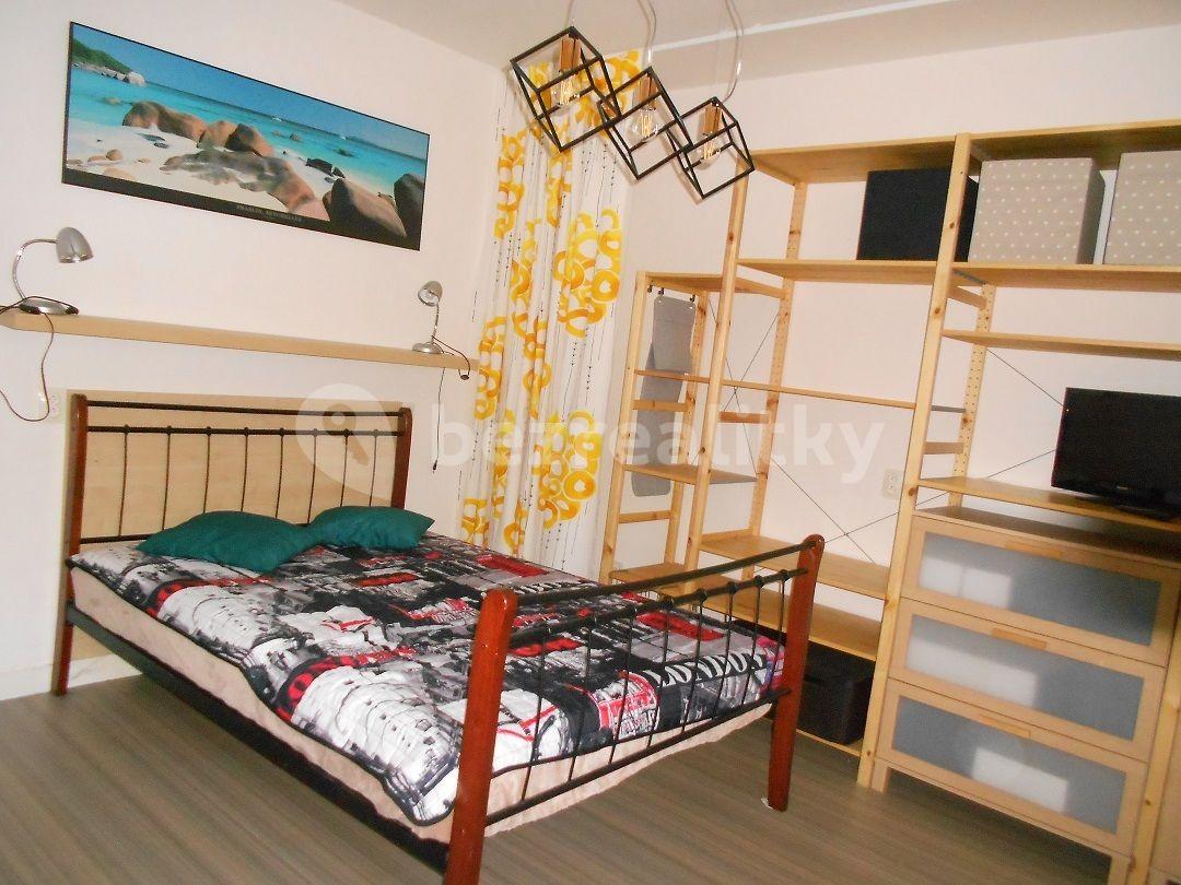 1 bedroom with open-plan kitchen flat to rent, 42 m², Rotalova, Brno, Jihomoravský Region