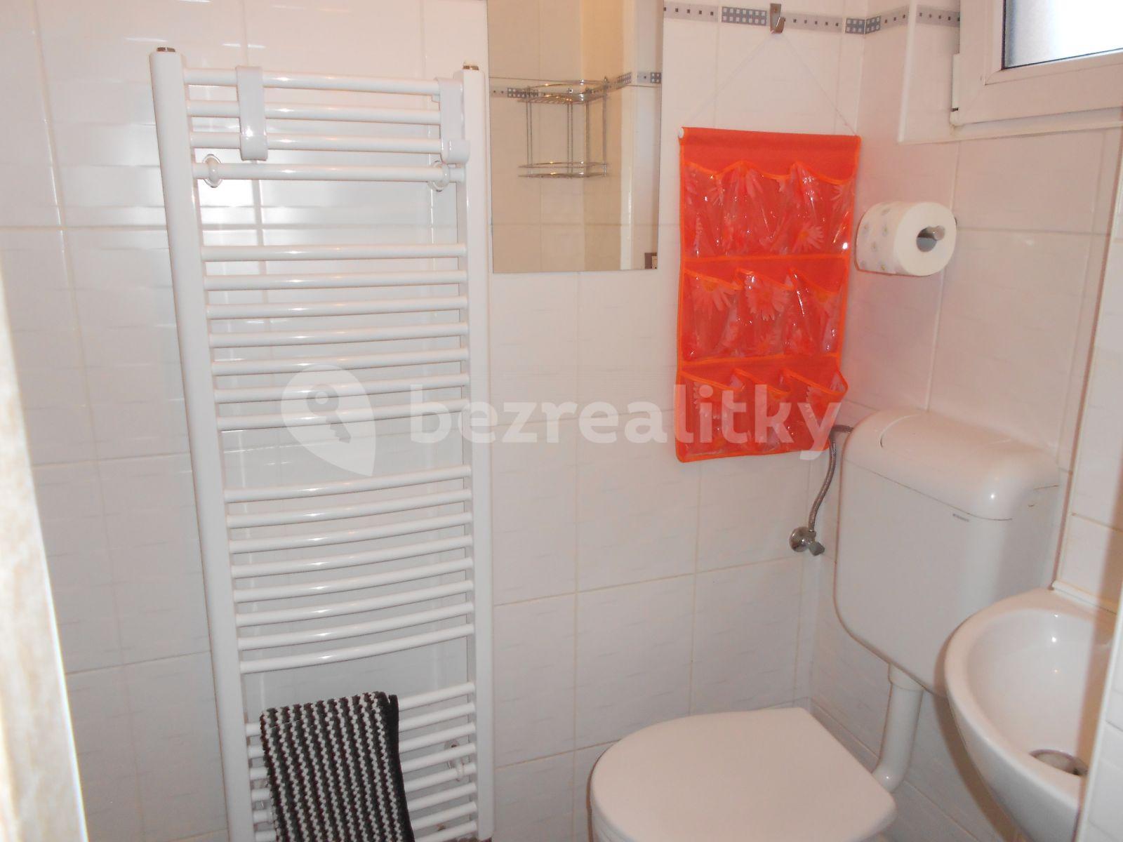 1 bedroom with open-plan kitchen flat to rent, 42 m², Rotalova, Brno, Jihomoravský Region