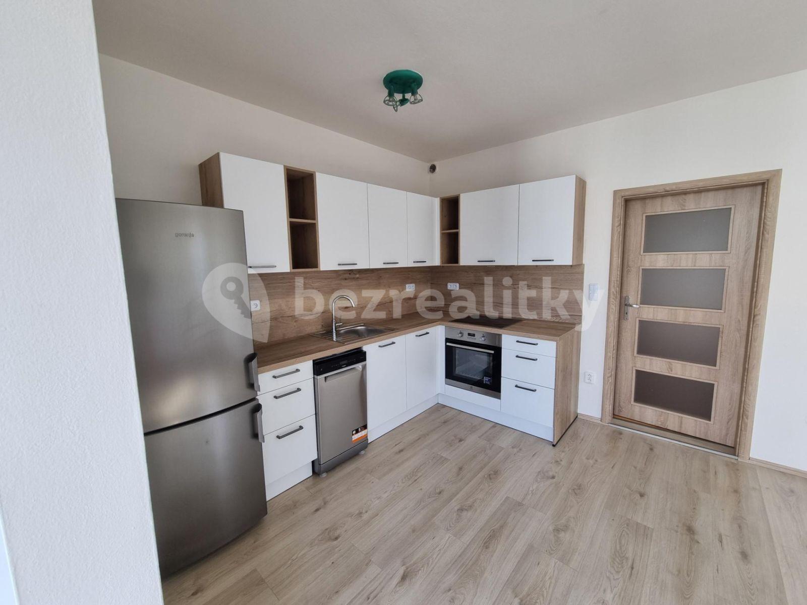 1 bedroom with open-plan kitchen flat to rent, 57 m², Janýrova, Prague, Prague