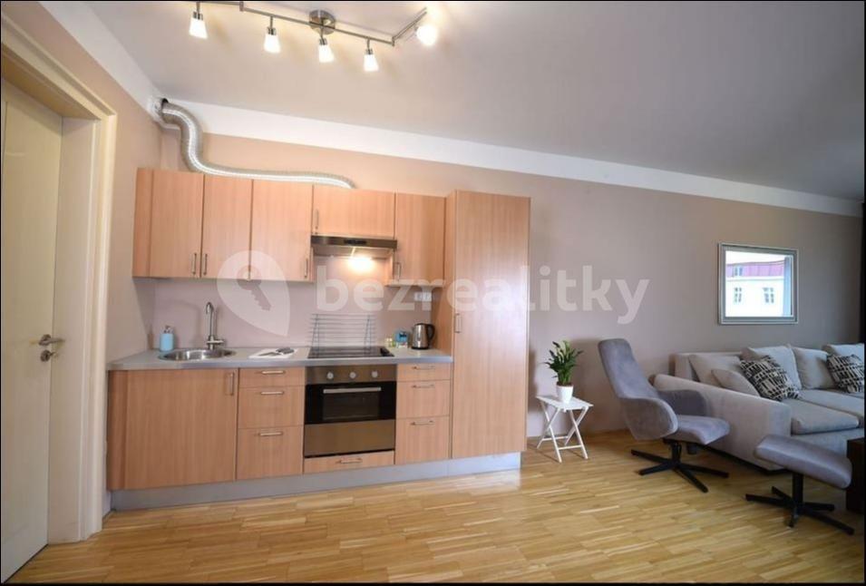 1 bedroom with open-plan kitchen flat to rent, 77 m², Rohanské nábřeží, Prague, Prague