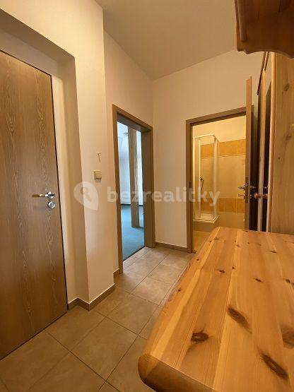 Studio flat to rent, 40 m², Ďáblická, Prague, Prague