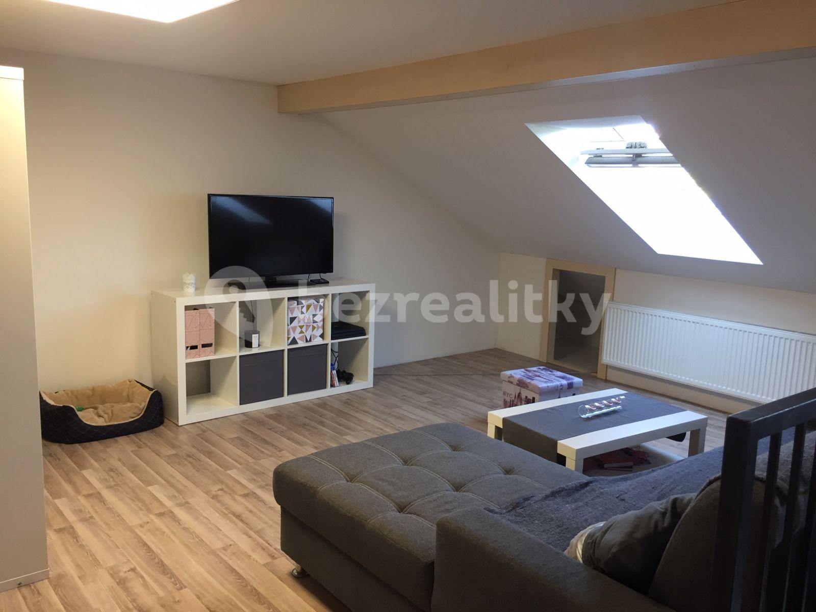 1 bedroom with open-plan kitchen flat to rent, 100 m², Karlova, Brno, Jihomoravský Region