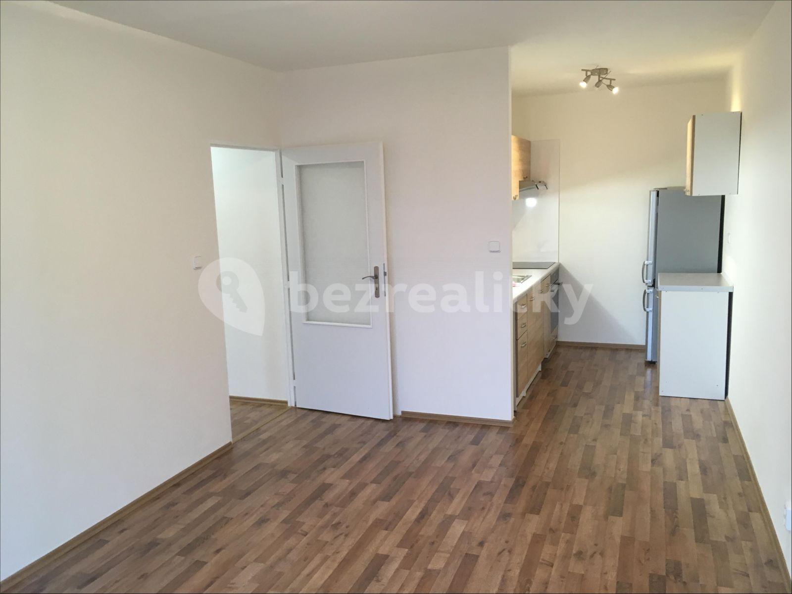 1 bedroom with open-plan kitchen flat to rent, 46 m², Výletní, Prague, Prague