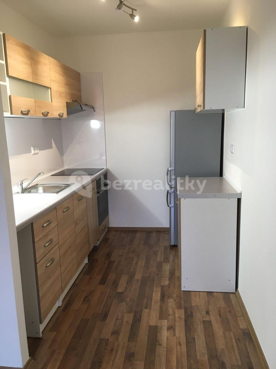 1 bedroom with open-plan kitchen flat to rent, 46 m², Výletní, Prague, Prague