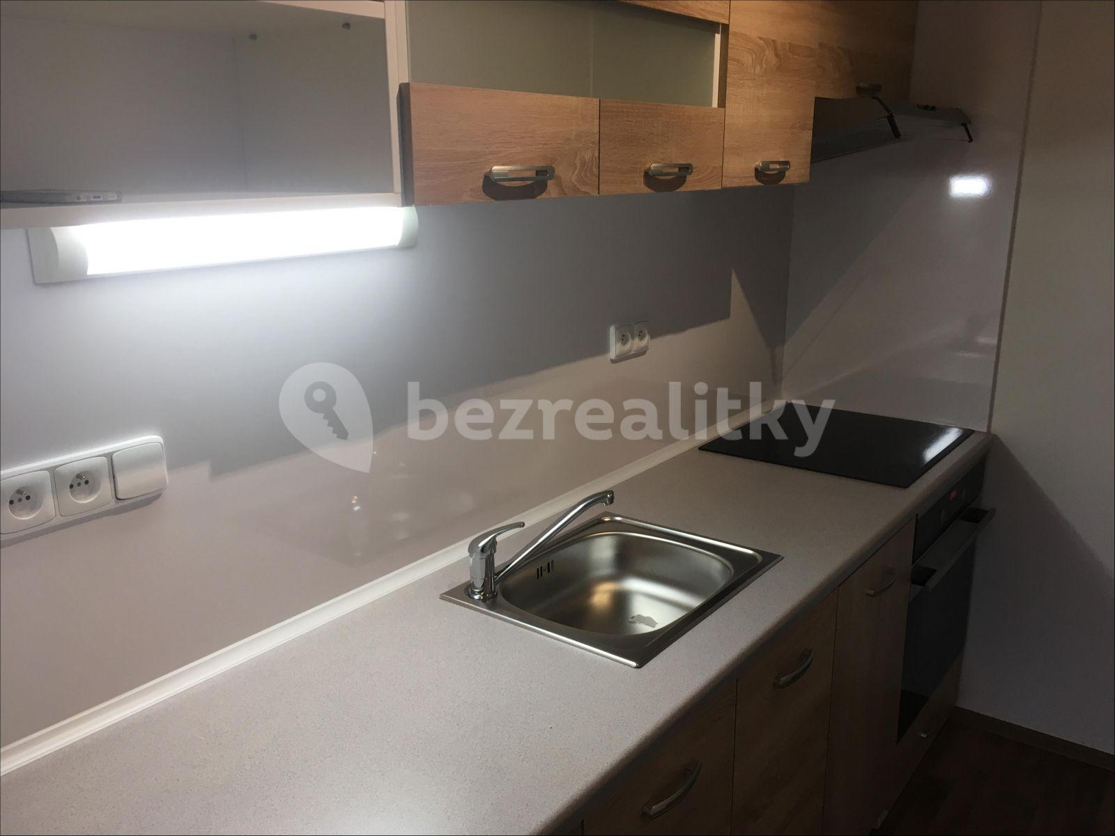 1 bedroom with open-plan kitchen flat to rent, 46 m², Výletní, Prague, Prague