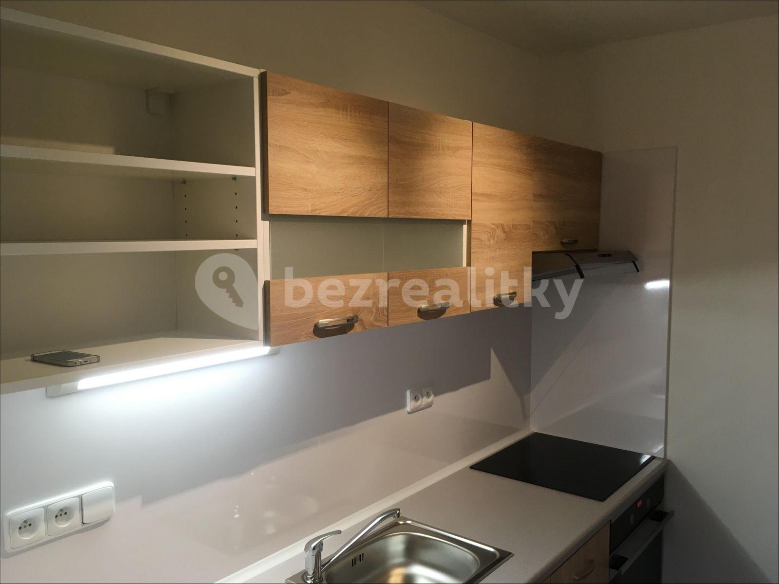 1 bedroom with open-plan kitchen flat to rent, 46 m², Výletní, Prague, Prague