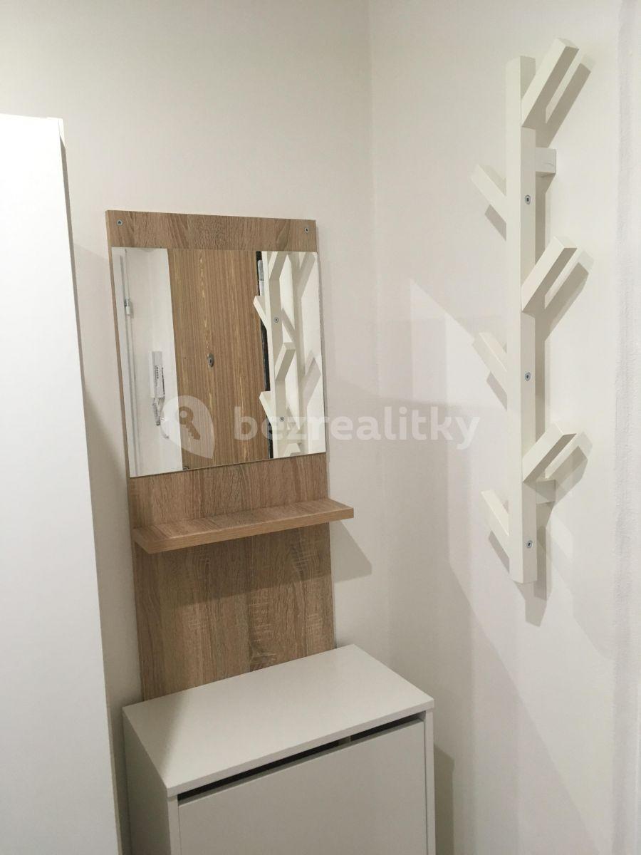 1 bedroom with open-plan kitchen flat to rent, 46 m², Výletní, Prague, Prague