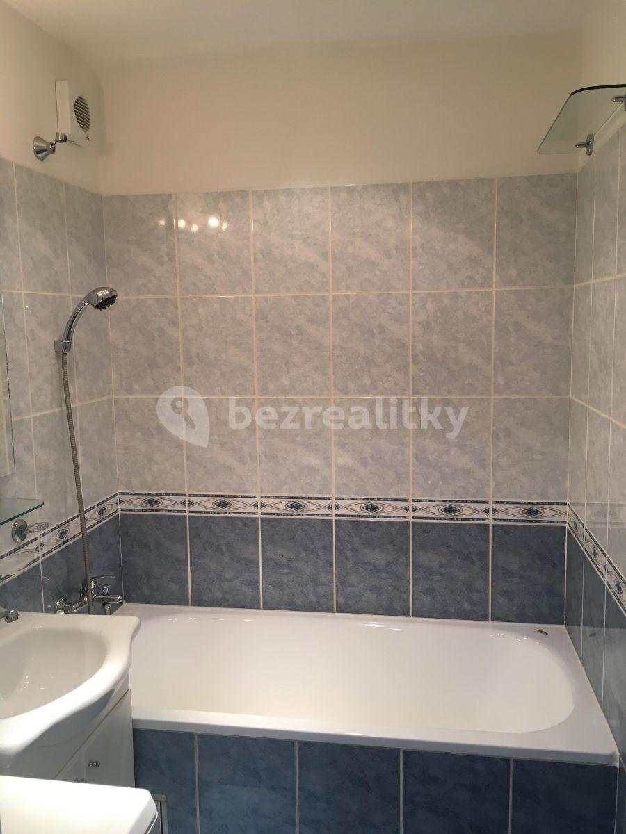 1 bedroom with open-plan kitchen flat to rent, 46 m², Výletní, Prague, Prague