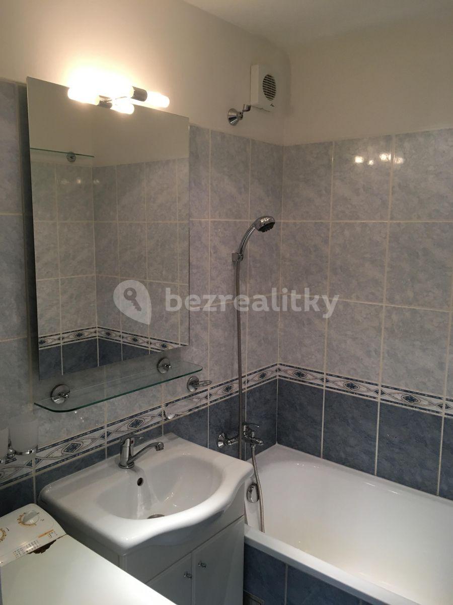 1 bedroom with open-plan kitchen flat to rent, 46 m², Výletní, Prague, Prague