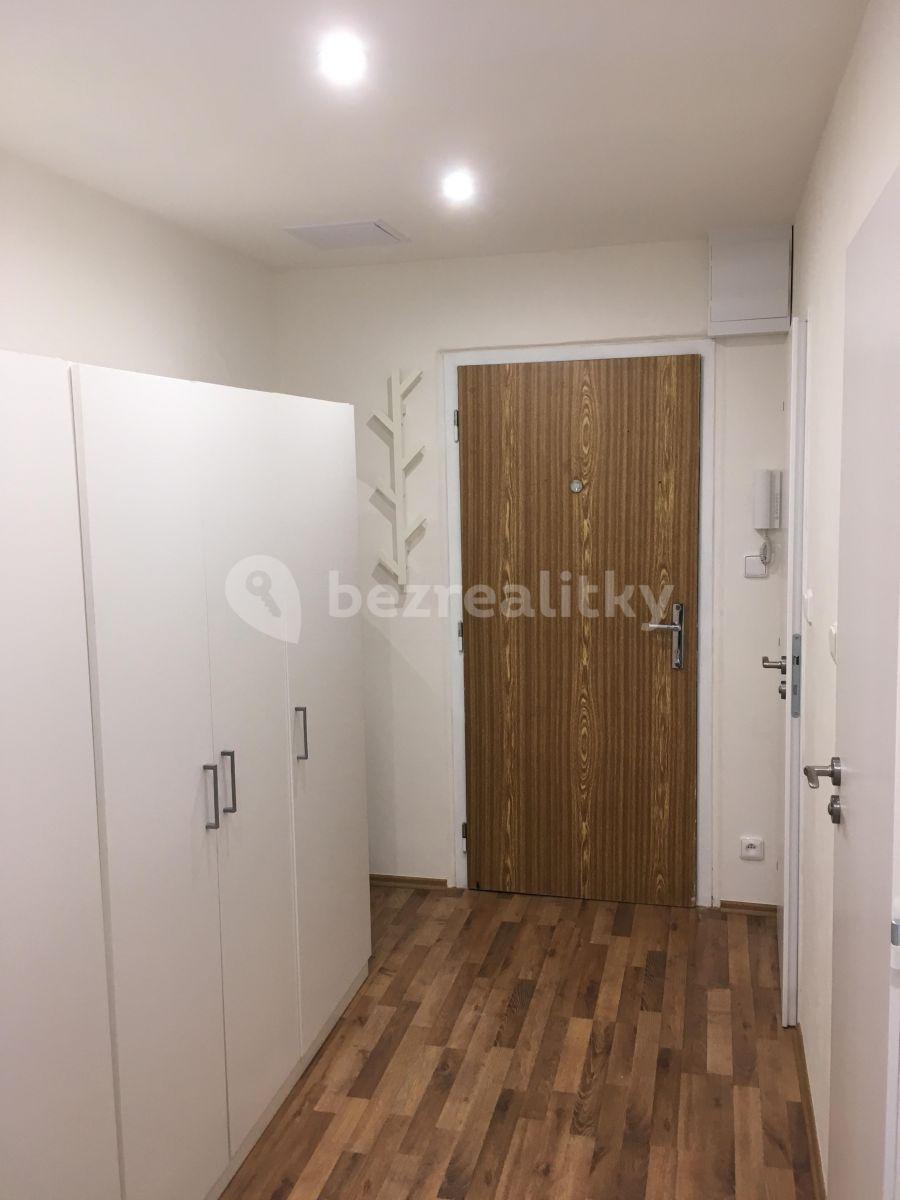 1 bedroom with open-plan kitchen flat to rent, 46 m², Výletní, Prague, Prague