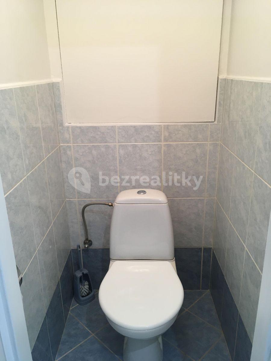 1 bedroom with open-plan kitchen flat to rent, 46 m², Výletní, Prague, Prague