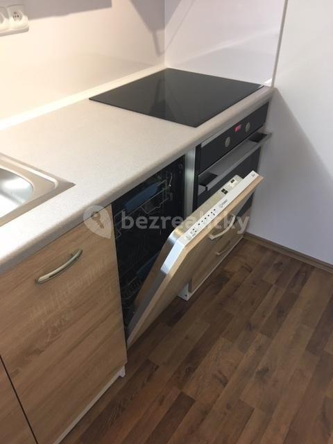 1 bedroom with open-plan kitchen flat to rent, 46 m², Výletní, Prague, Prague