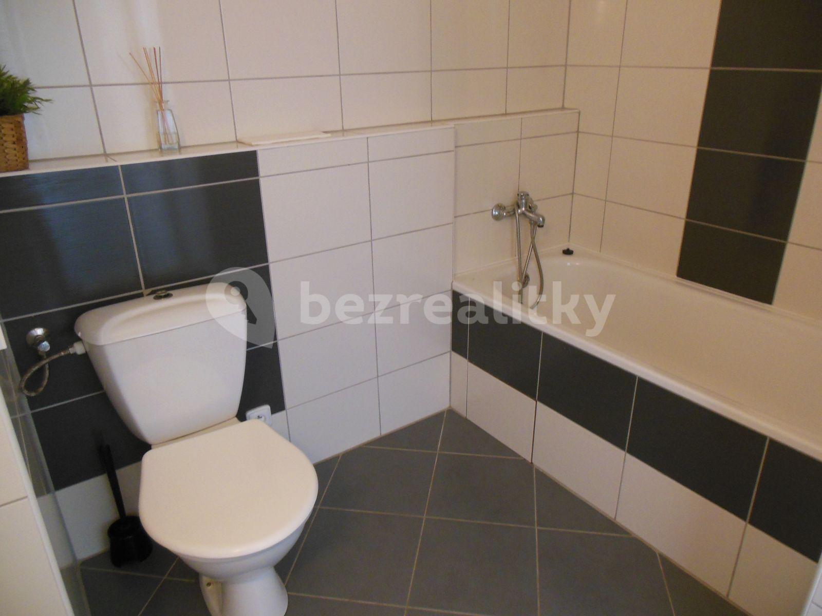 1 bedroom flat to rent, 35 m², Formánkova, Hradec Králové, Královéhradecký Region