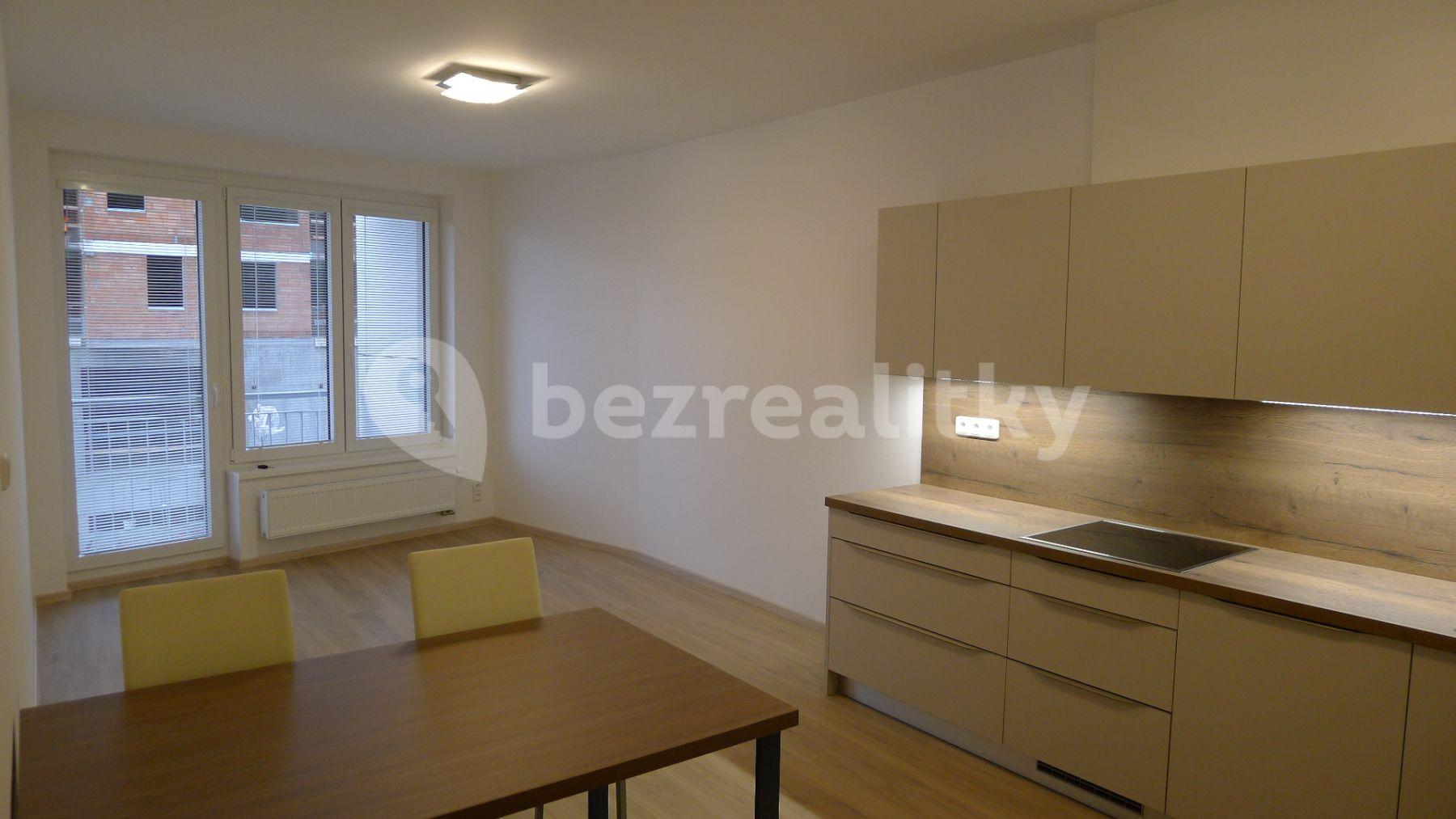 1 bedroom with open-plan kitchen flat to rent, 53 m², Svitákova, Prague, Prague