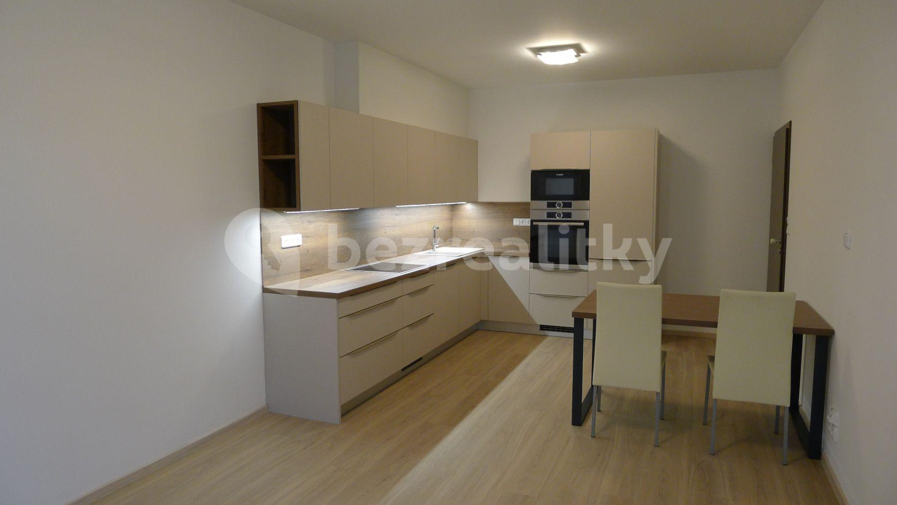 1 bedroom with open-plan kitchen flat to rent, 53 m², Svitákova, Prague, Prague