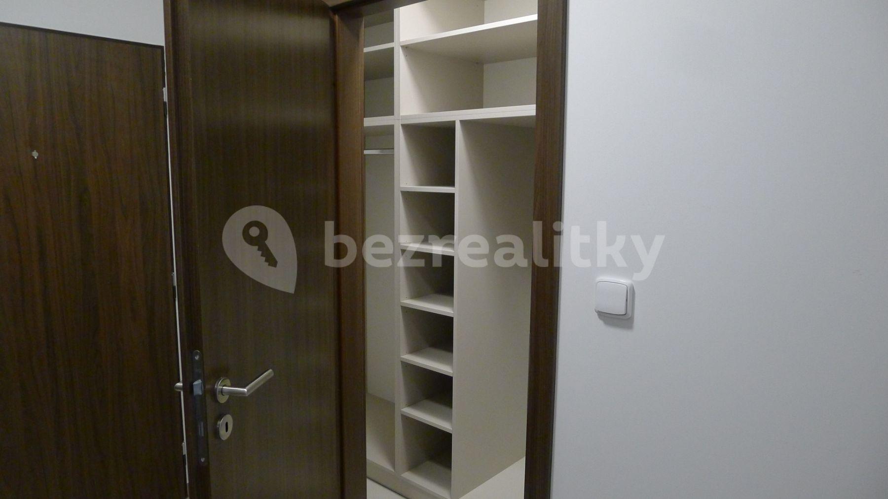 1 bedroom with open-plan kitchen flat to rent, 53 m², Svitákova, Prague, Prague