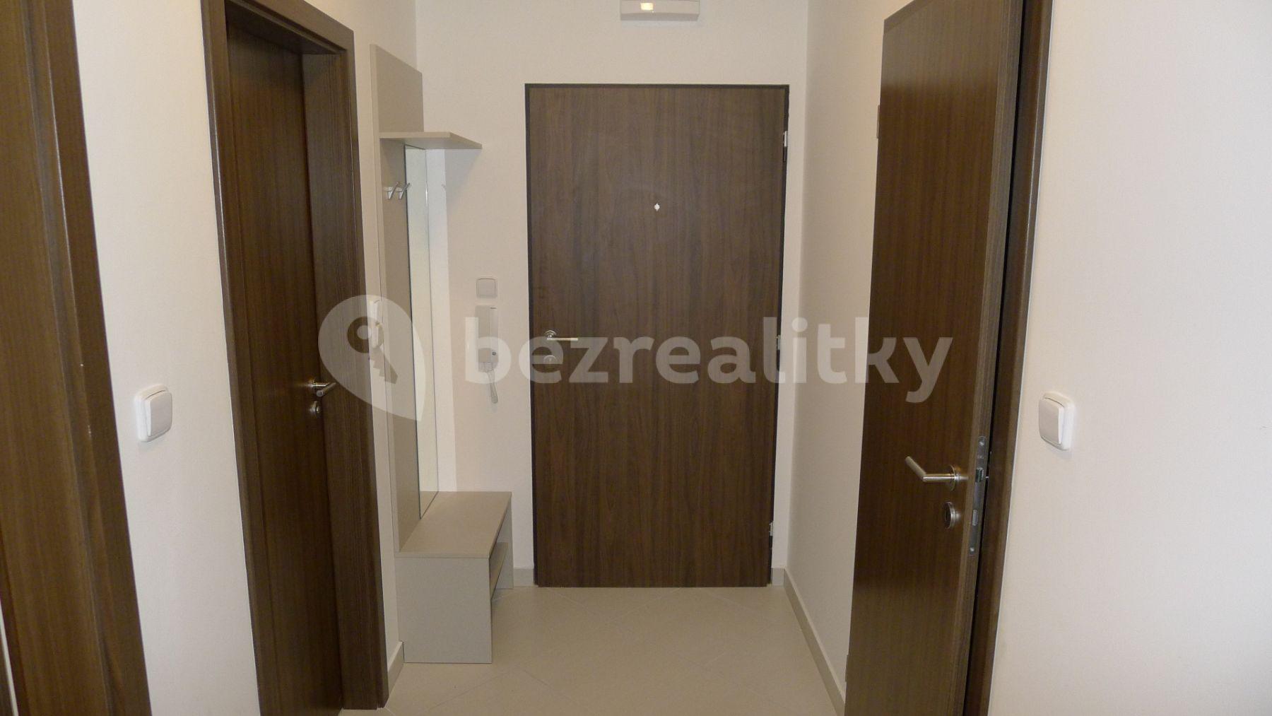 1 bedroom with open-plan kitchen flat to rent, 53 m², Svitákova, Prague, Prague