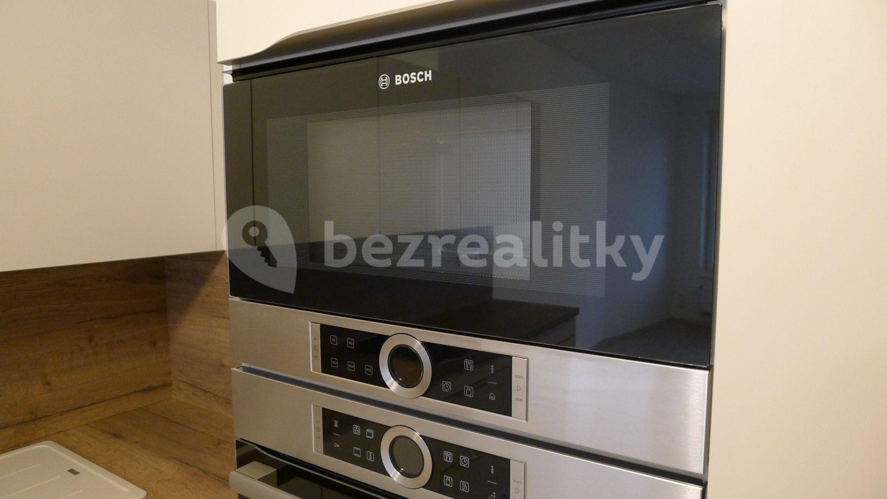 1 bedroom with open-plan kitchen flat to rent, 53 m², Svitákova, Prague, Prague