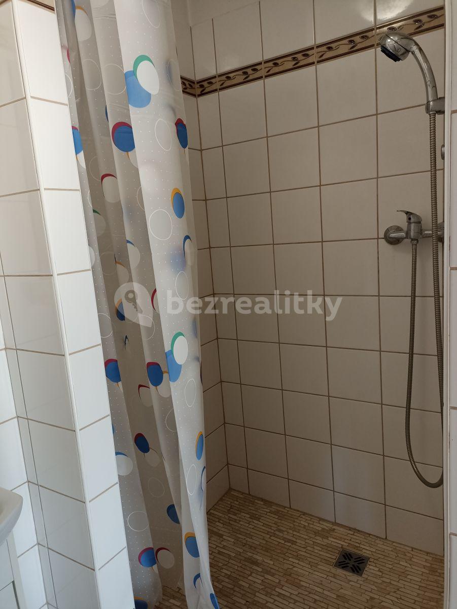 1 bedroom with open-plan kitchen flat to rent, 44 m², Žilinská, Olomouc, Olomoucký Region