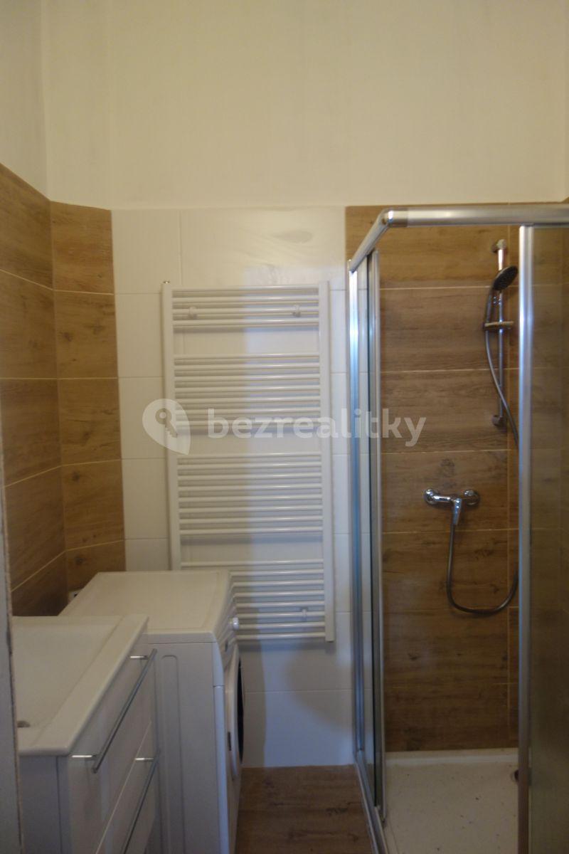 1 bedroom with open-plan kitchen flat to rent, 42 m², Biskupcova, Prague, Prague