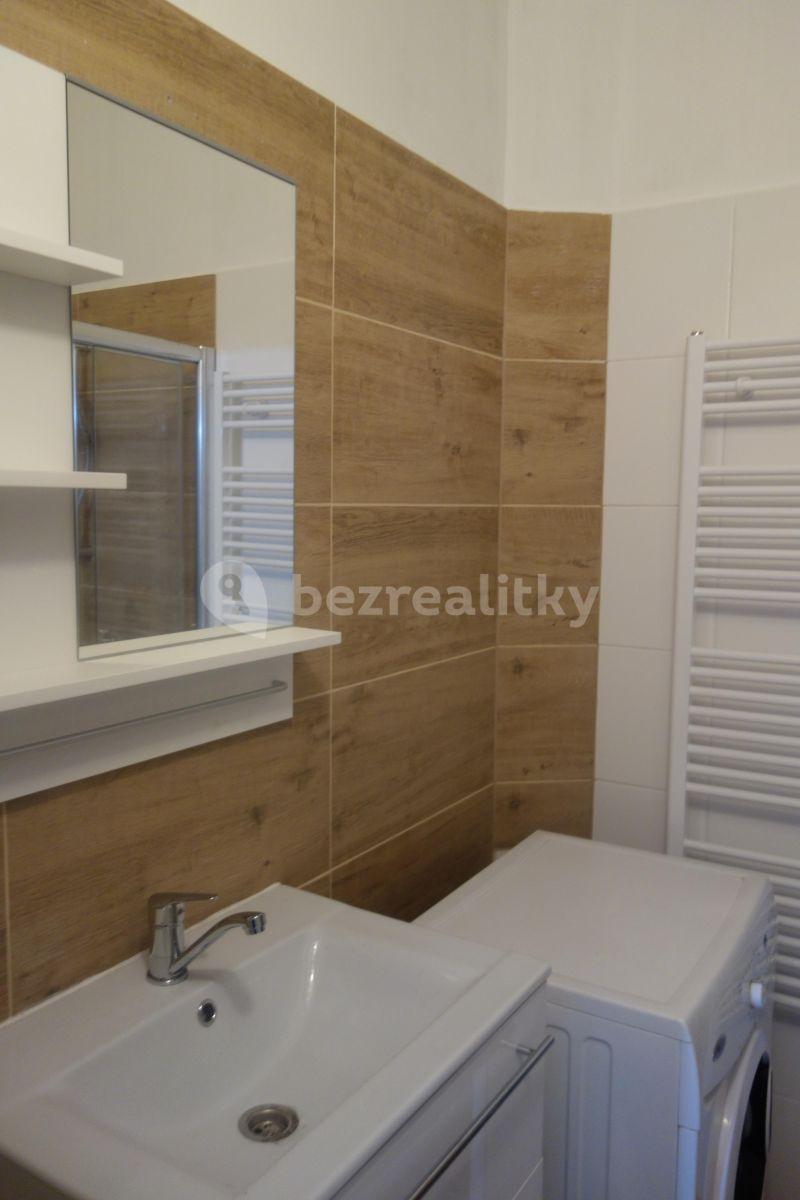 1 bedroom with open-plan kitchen flat to rent, 42 m², Biskupcova, Prague, Prague