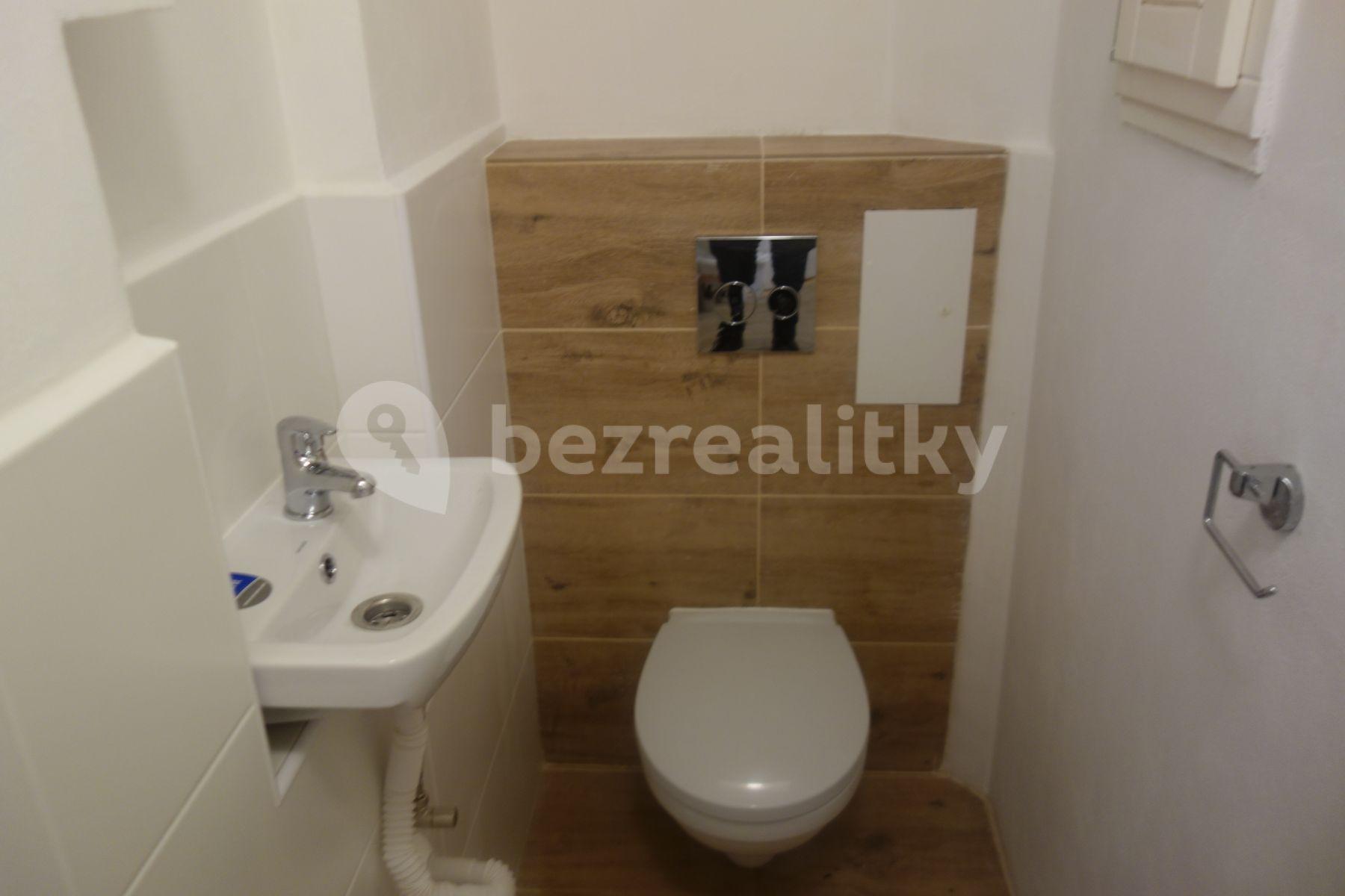 1 bedroom with open-plan kitchen flat to rent, 42 m², Biskupcova, Prague, Prague