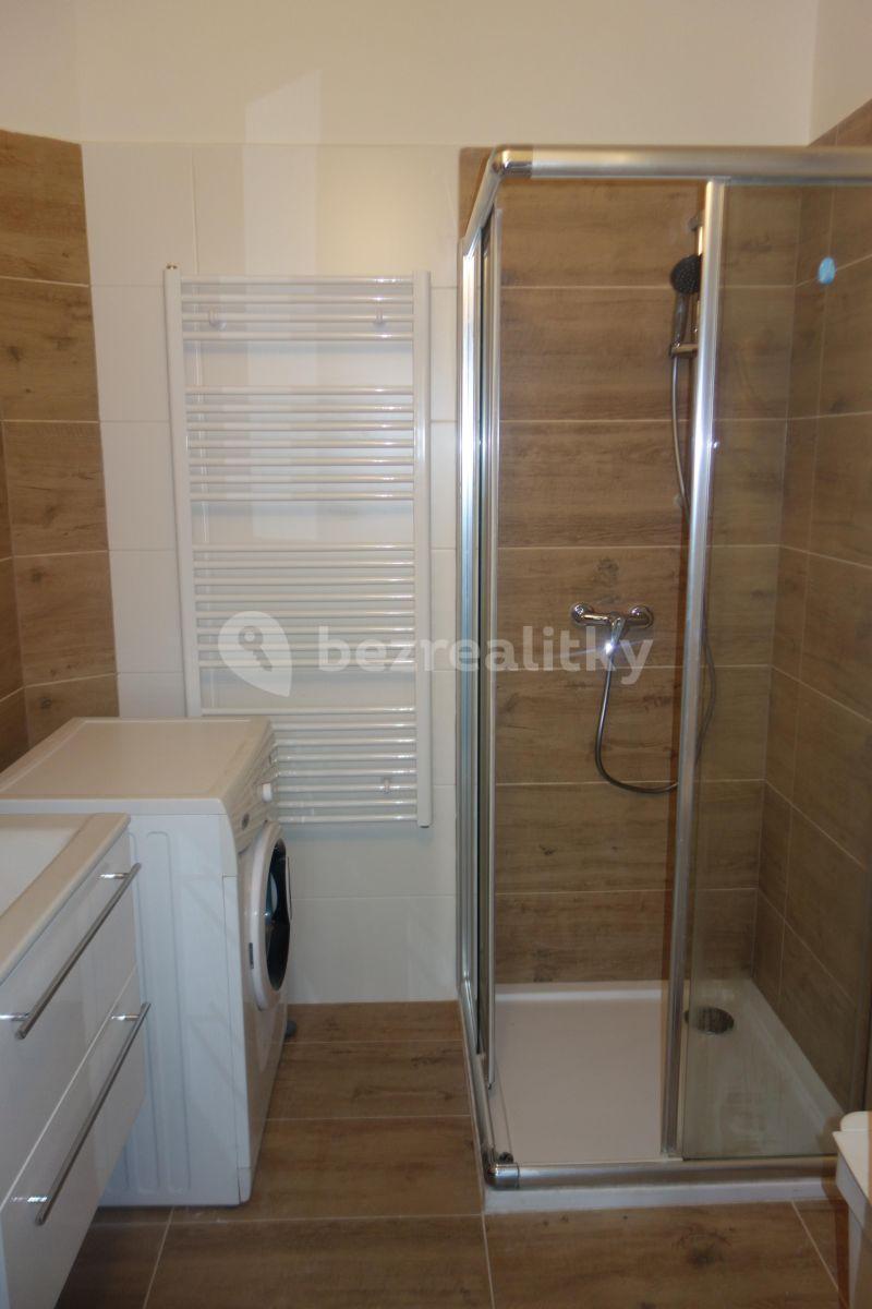 1 bedroom with open-plan kitchen flat to rent, 42 m², Biskupcova, Prague, Prague