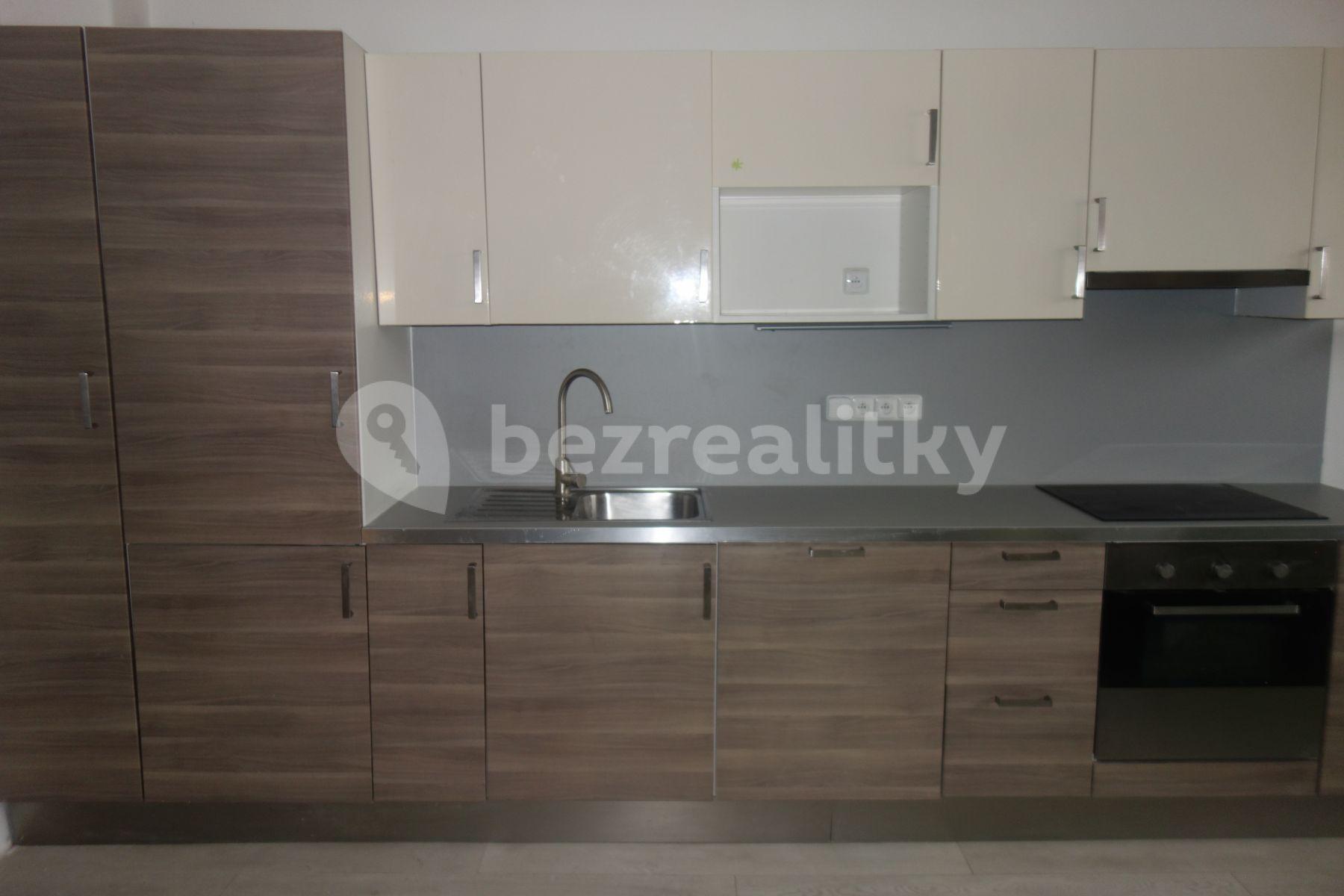 1 bedroom with open-plan kitchen flat to rent, 42 m², Biskupcova, Prague, Prague