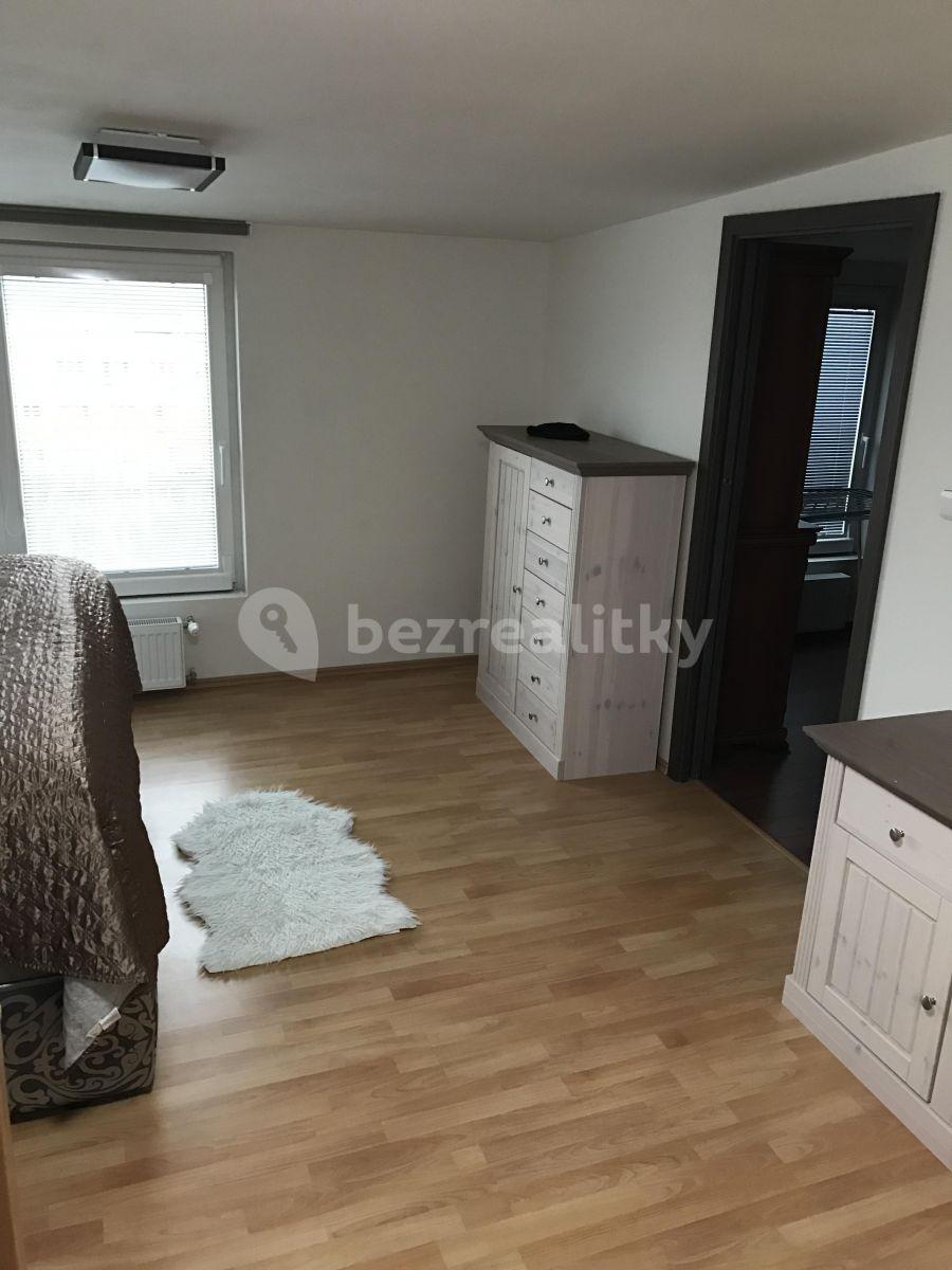 2 bedroom with open-plan kitchen flat to rent, 85 m², Drahobejlova, Prague, Prague