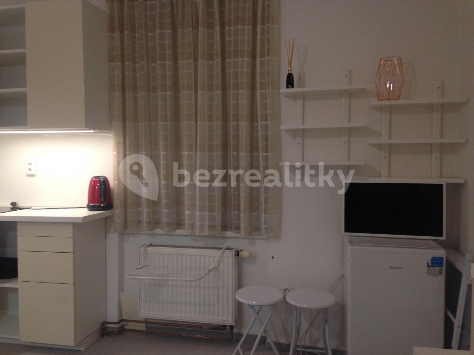 Small studio flat to rent, 14 m², Myslíkova, Prague, Prague