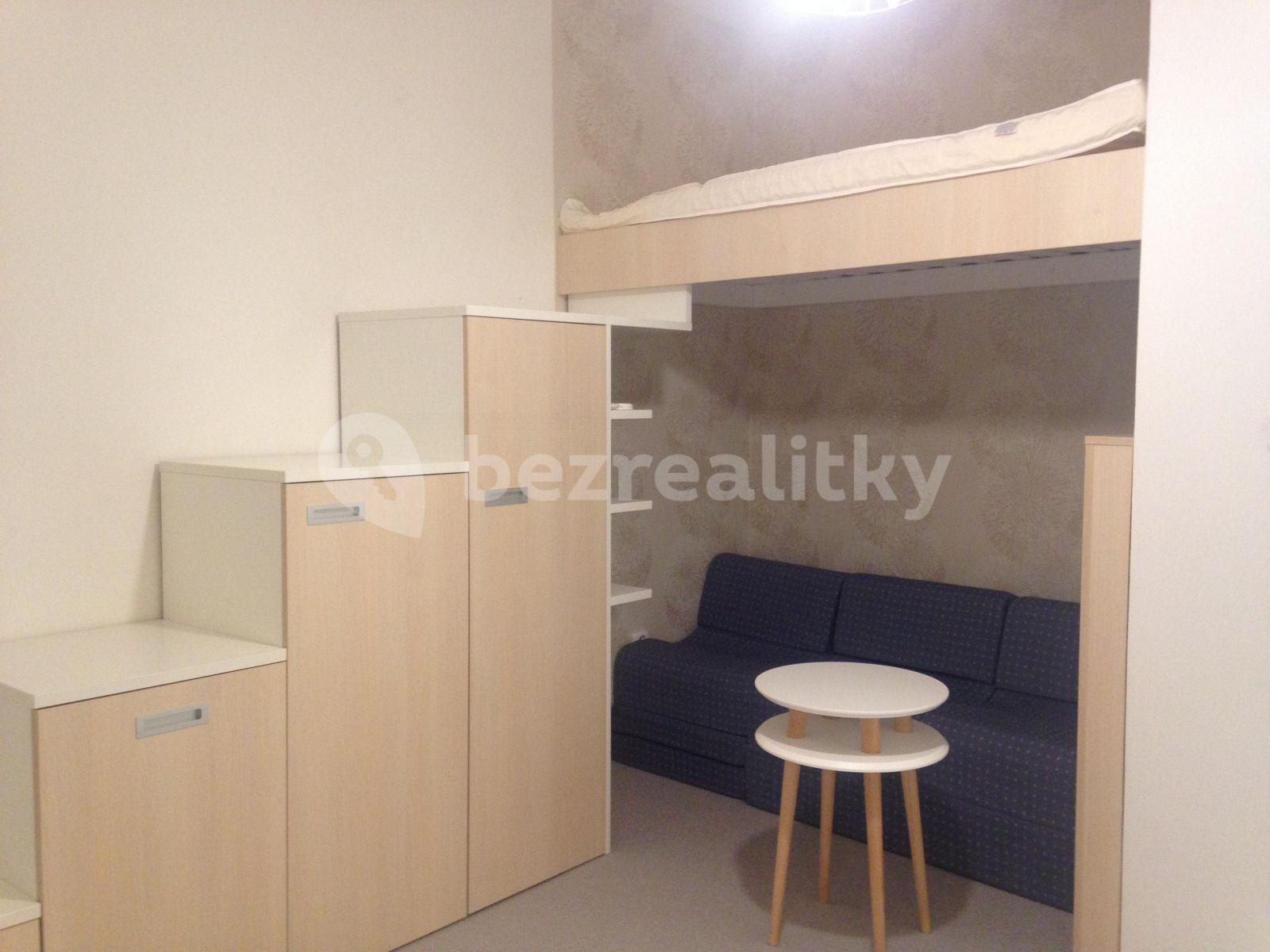 Small studio flat to rent, 14 m², Myslíkova, Prague, Prague