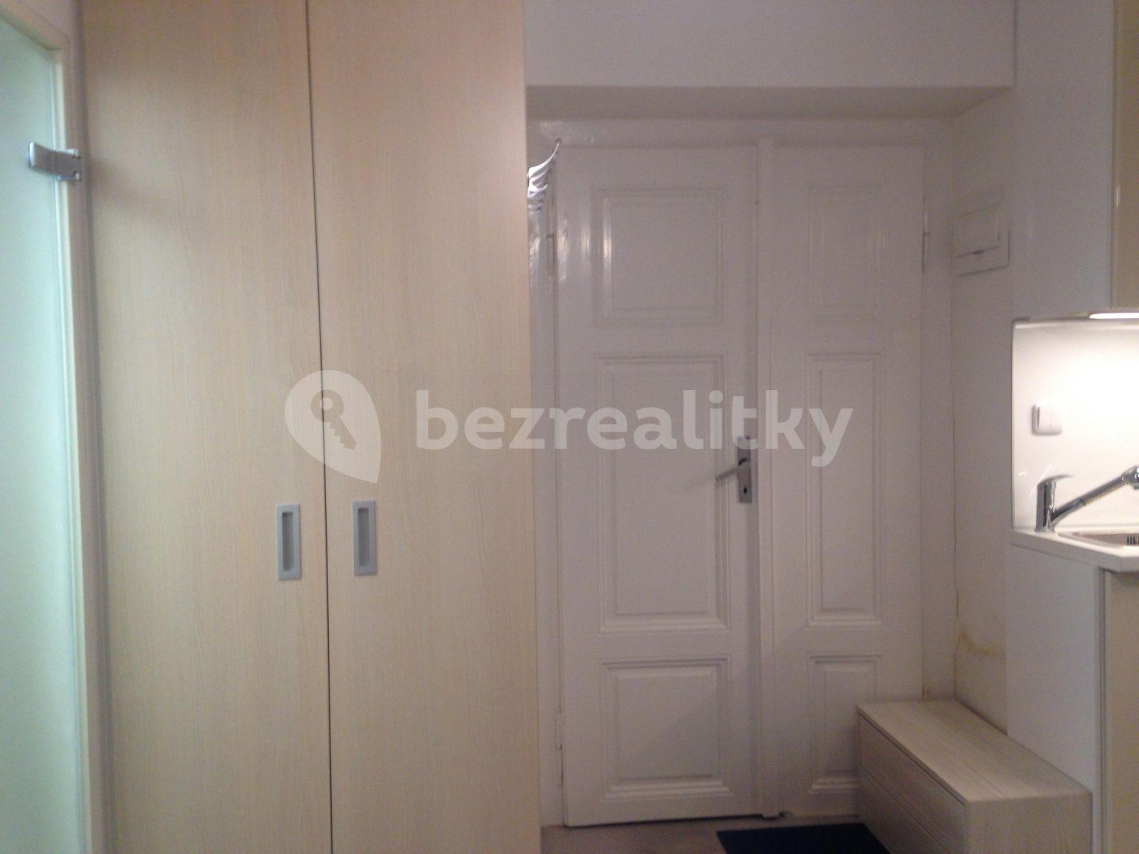 Small studio flat to rent, 14 m², Myslíkova, Prague, Prague