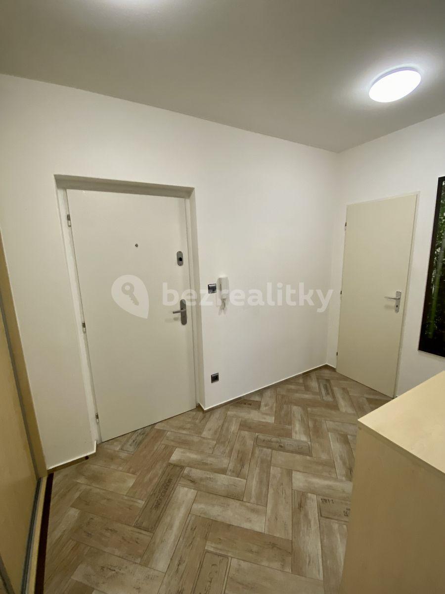 1 bedroom with open-plan kitchen flat to rent, 60 m², Kodymova, Prague, Prague