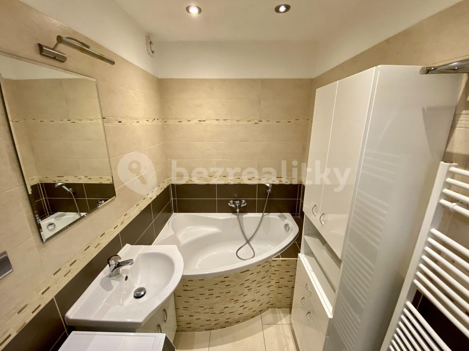 1 bedroom with open-plan kitchen flat to rent, 60 m², Kodymova, Prague, Prague