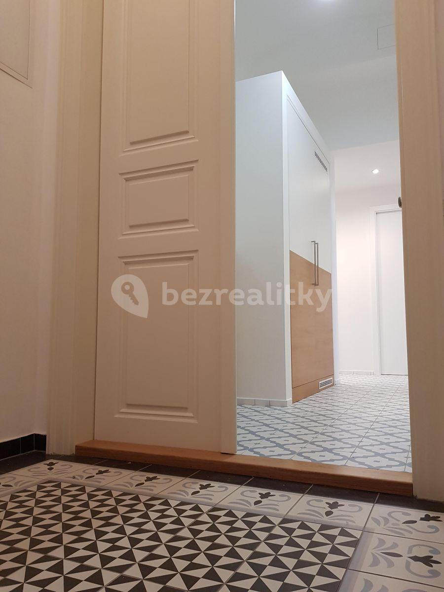 1 bedroom with open-plan kitchen flat to rent, 47 m², Pobřežní, Prague, Prague