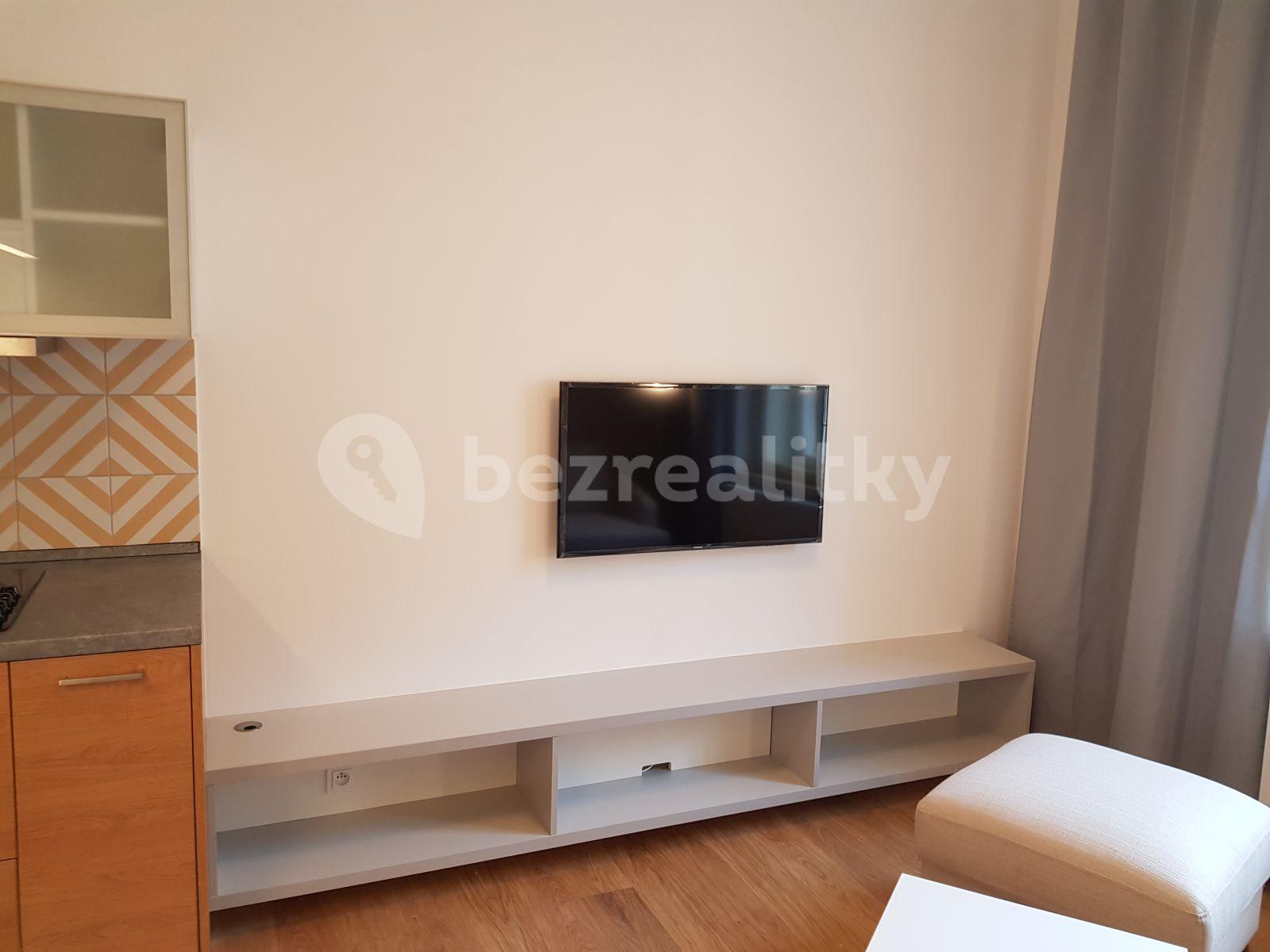 1 bedroom with open-plan kitchen flat to rent, 47 m², Pobřežní, Prague, Prague