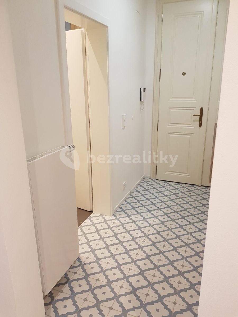 1 bedroom with open-plan kitchen flat to rent, 47 m², Pobřežní, Prague, Prague